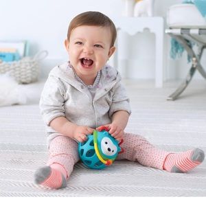 Skip Hop Hedgehog Rattle